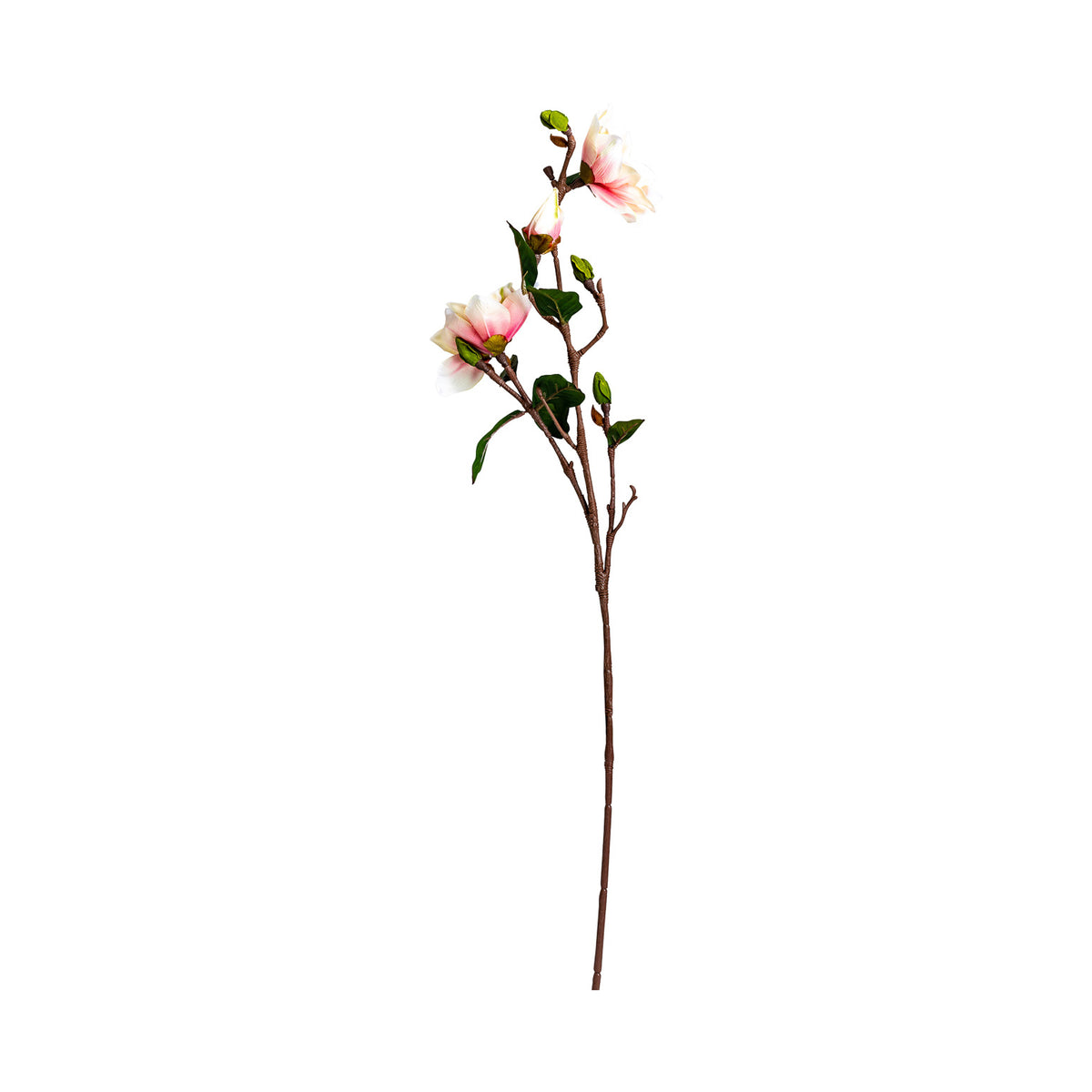 YULAN FLOWER