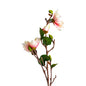 YULAN FLOWER