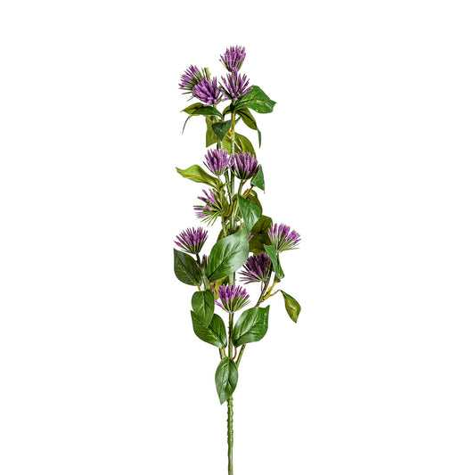 CENTAUREA FLOWER