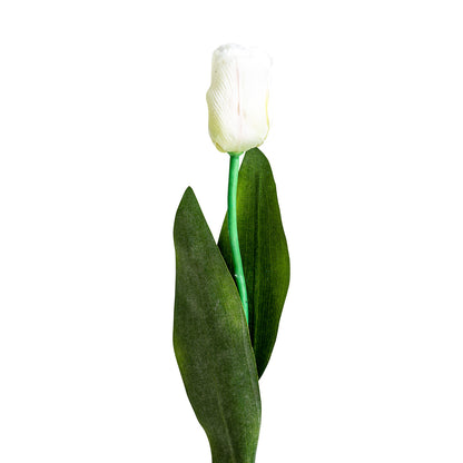 TULIPAN FLOWER