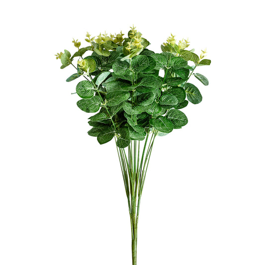 EUCALIPTO PLANT