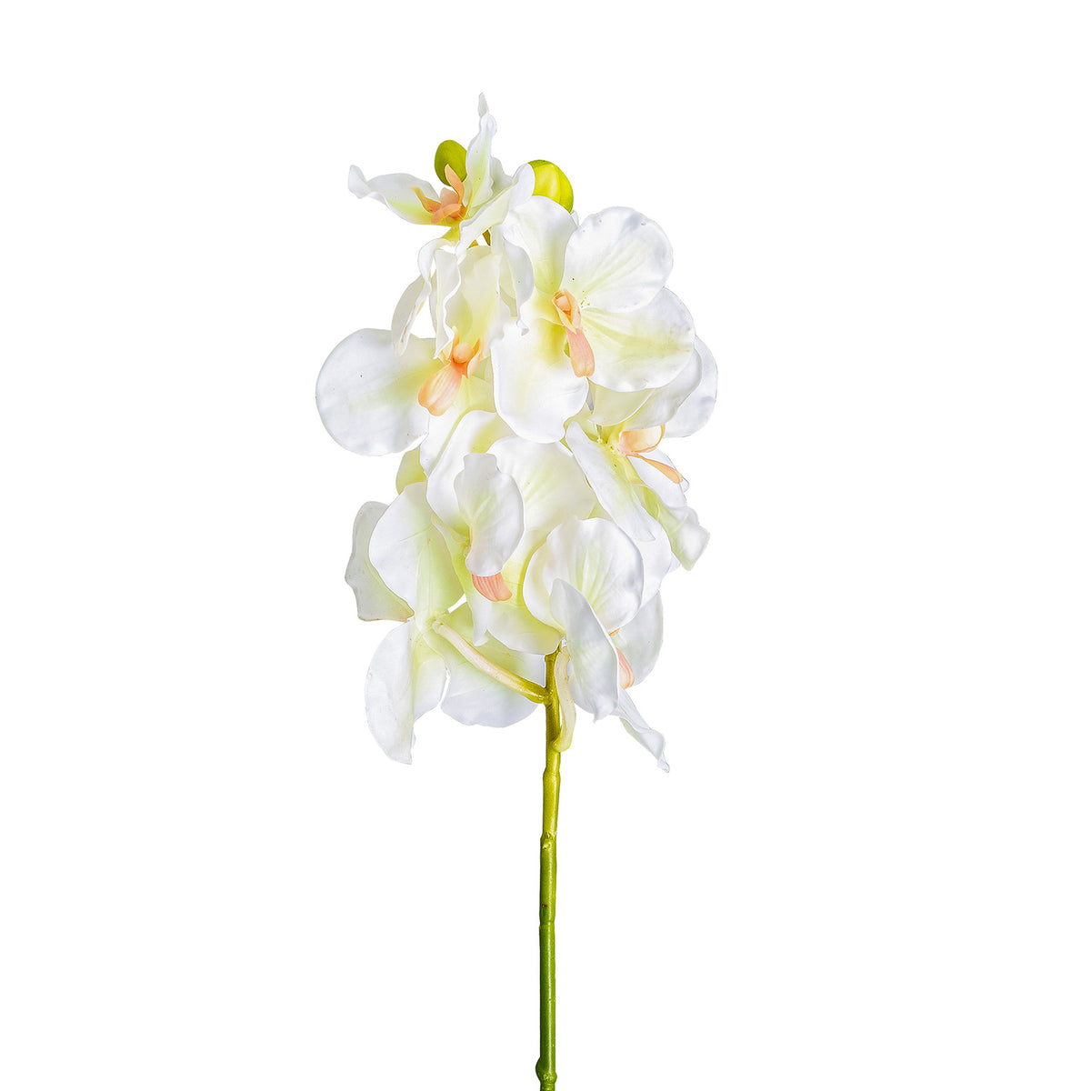 AZAHAR FLOWER