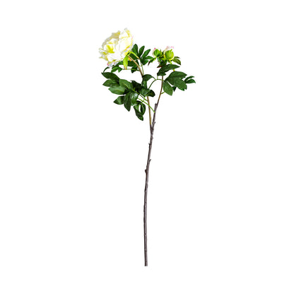 ROSA FLOWER