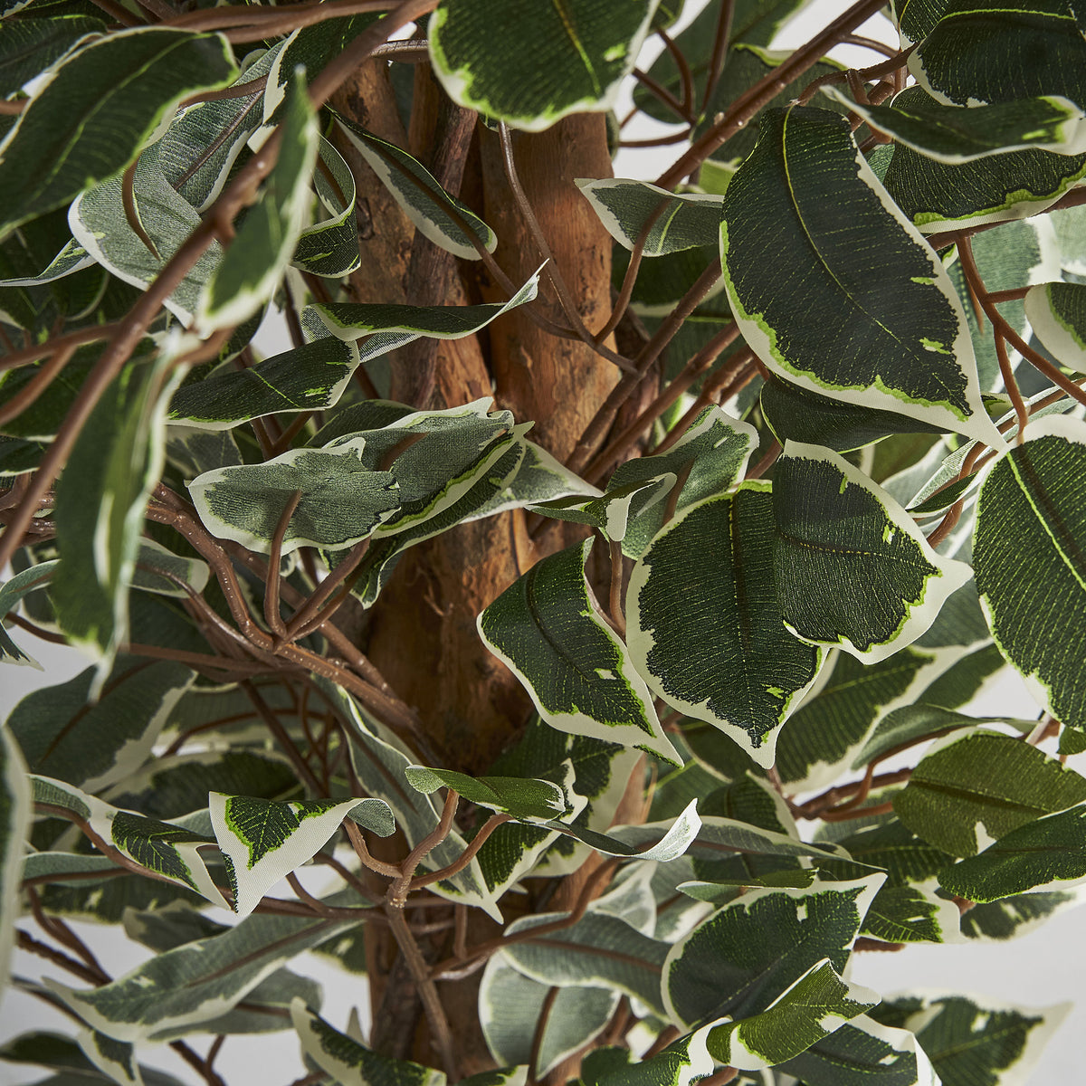 FEIGENBAUM