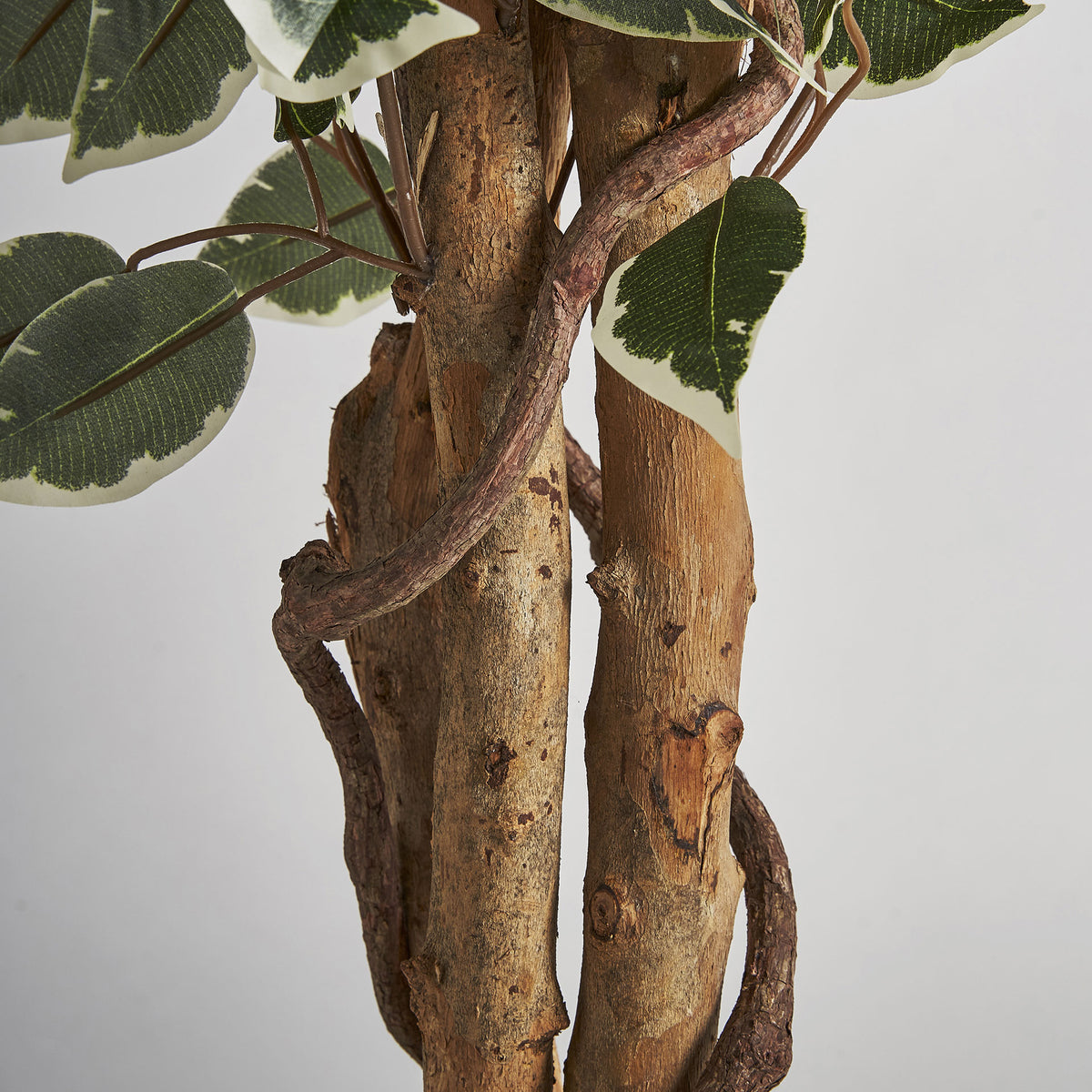 FEIGENBAUM