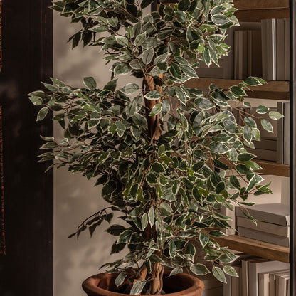 FEIGENBAUM