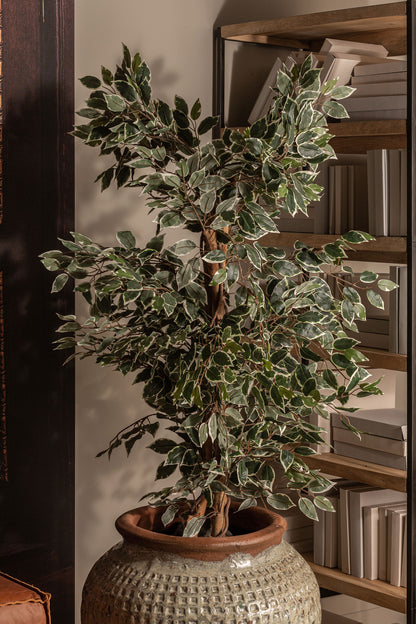 FEIGENBAUM