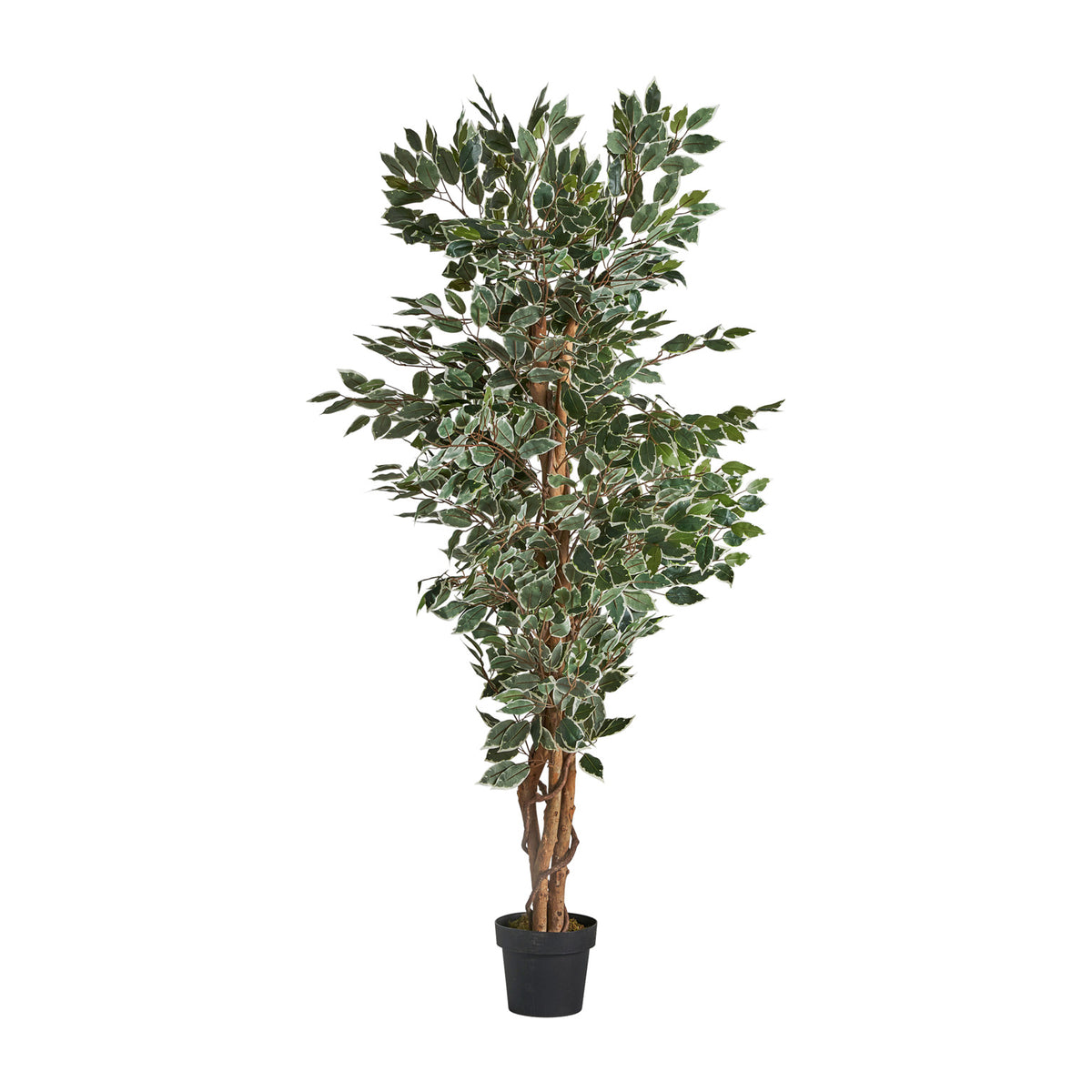FEIGENBAUM
