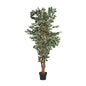 FEIGENBAUM