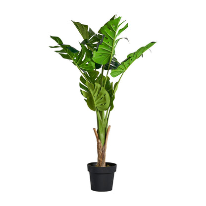 MONSTERA PFLANZE