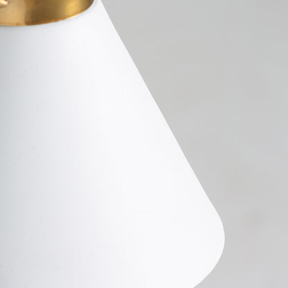 LUPSTEIN CEILING LAMP