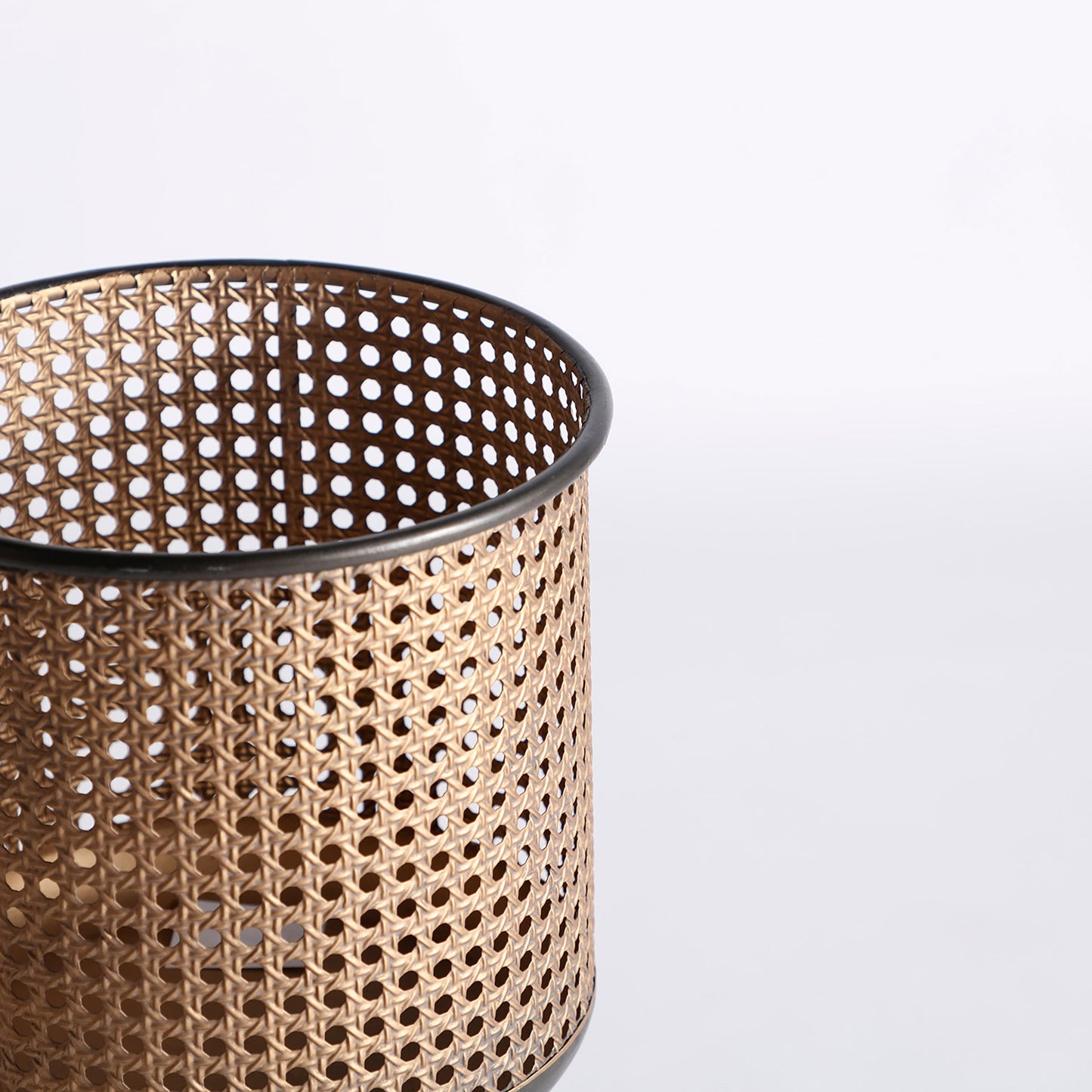 BREAM PLANT POT