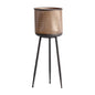 BREAM PLANT POT