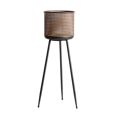 BREAM PLANT POT