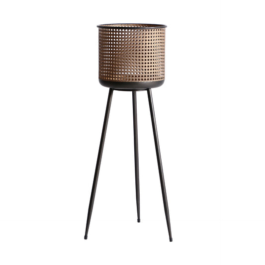 BREAM PLANT POT