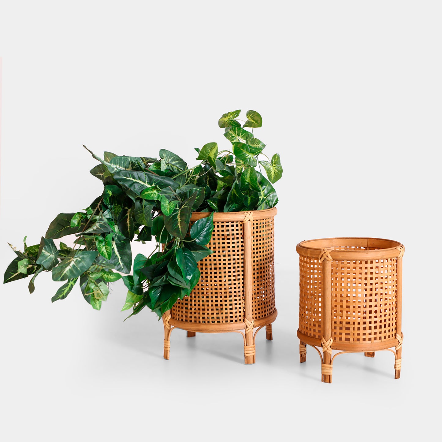 ARTEAGA PLANT POT (SET OF 2)