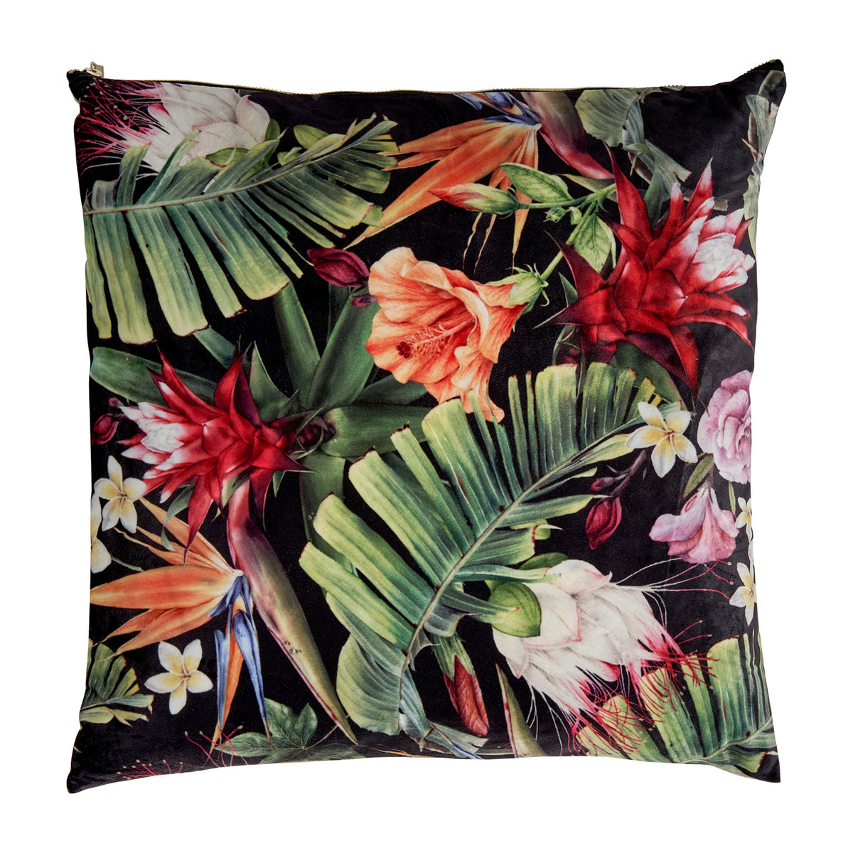 ANIELI CUSHION