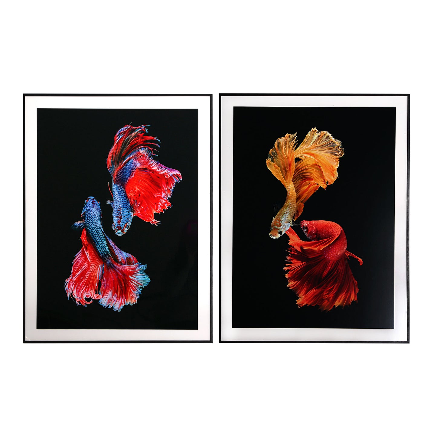 ELKA WALL ART (SET OF 2)