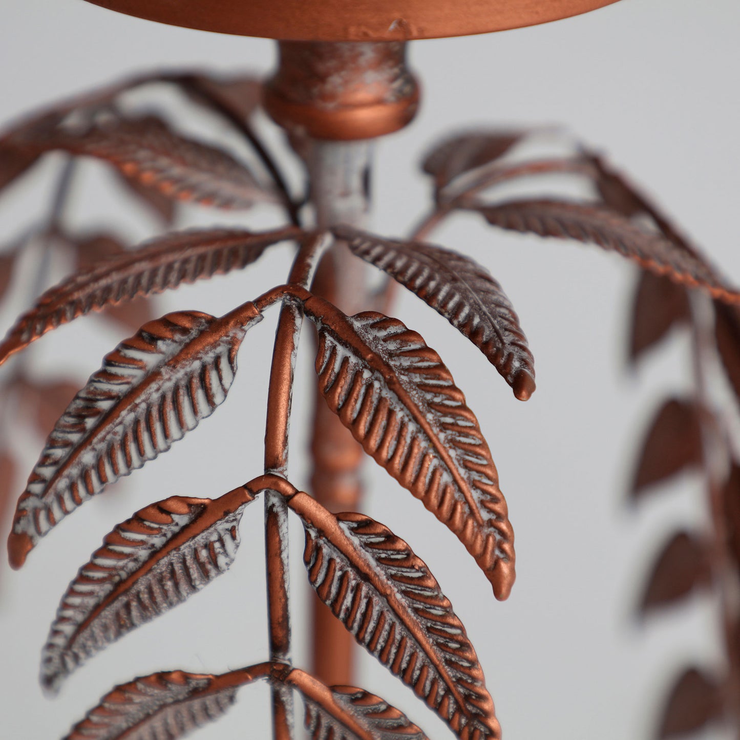 PALMERA LUCERNA CANDELABRA