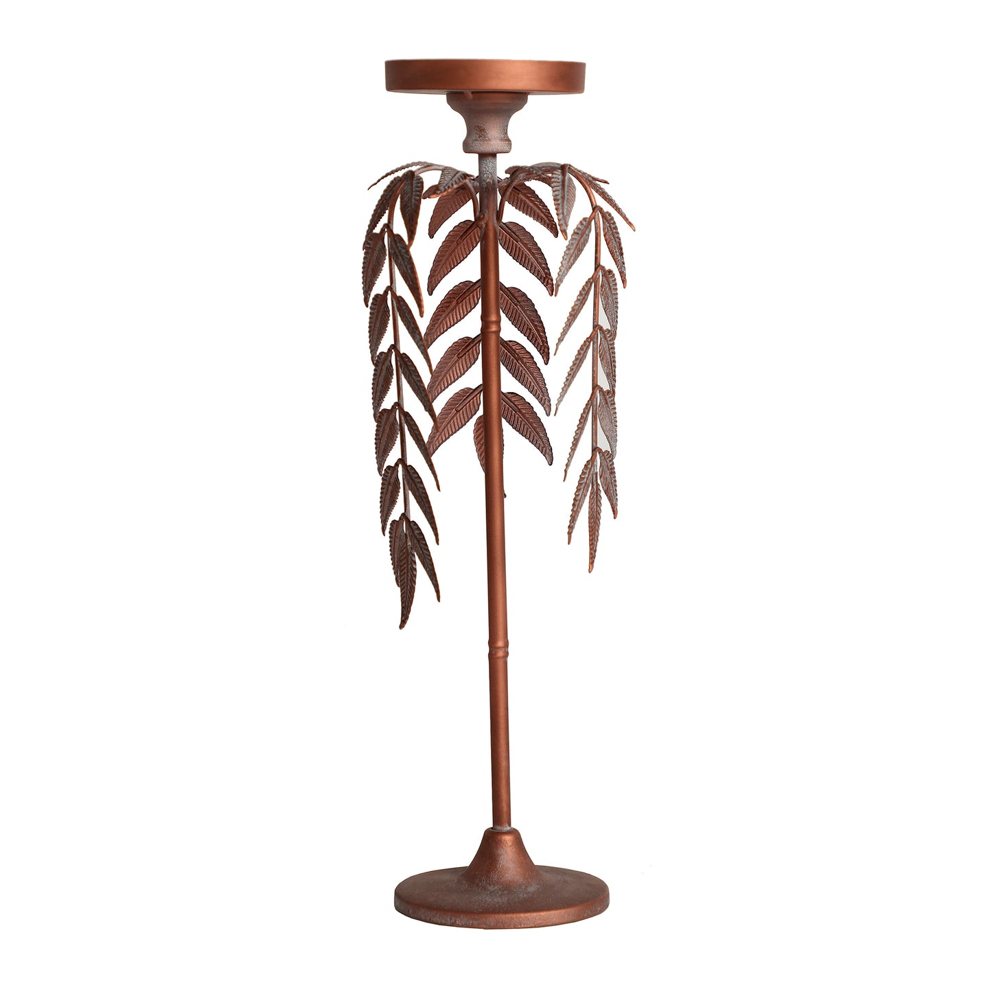 PALMERA LUCERNA CANDELABRA