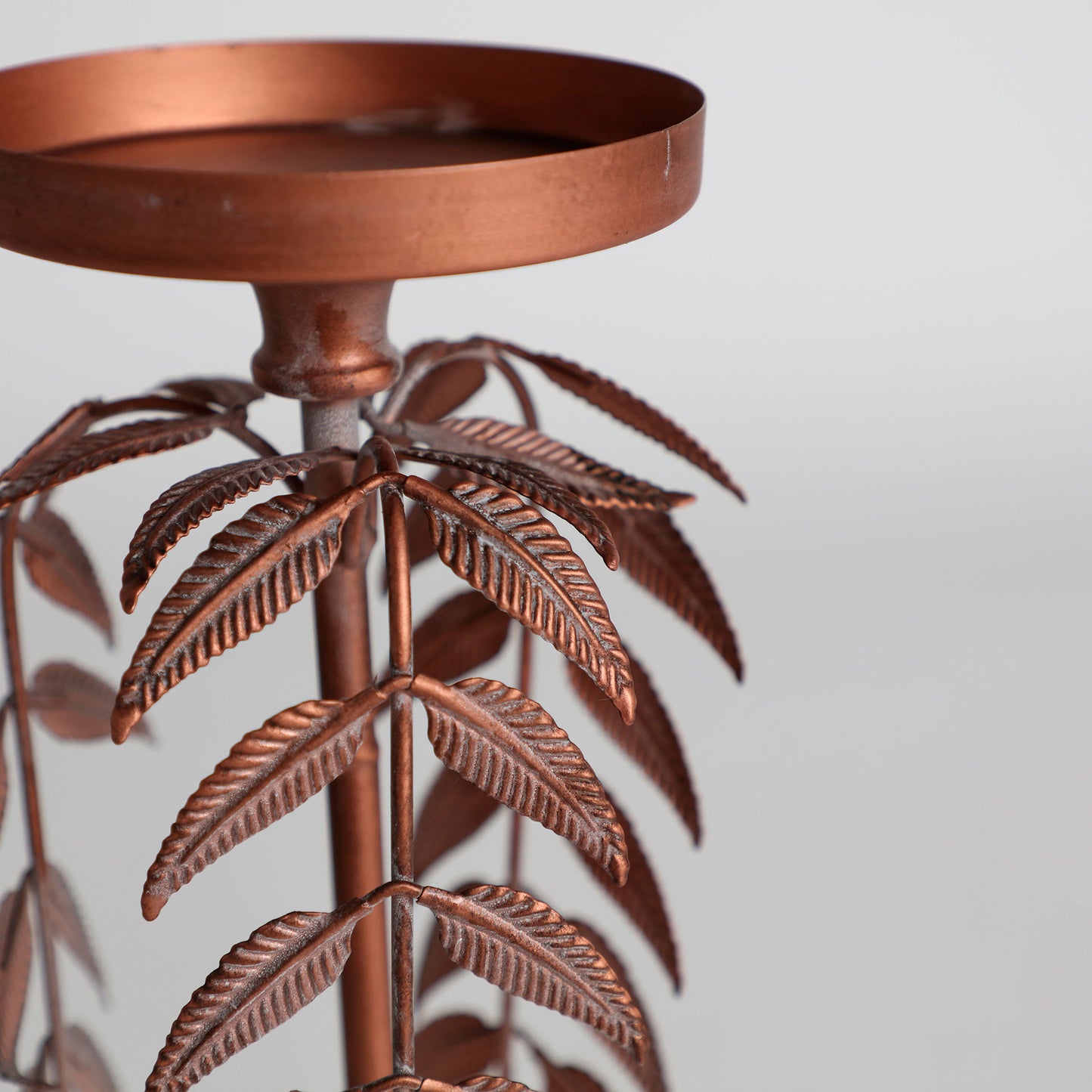 PALMERA LUCERNA CANDELABRA