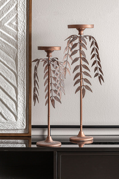 PALMERA LUCERNA CANDELABRA