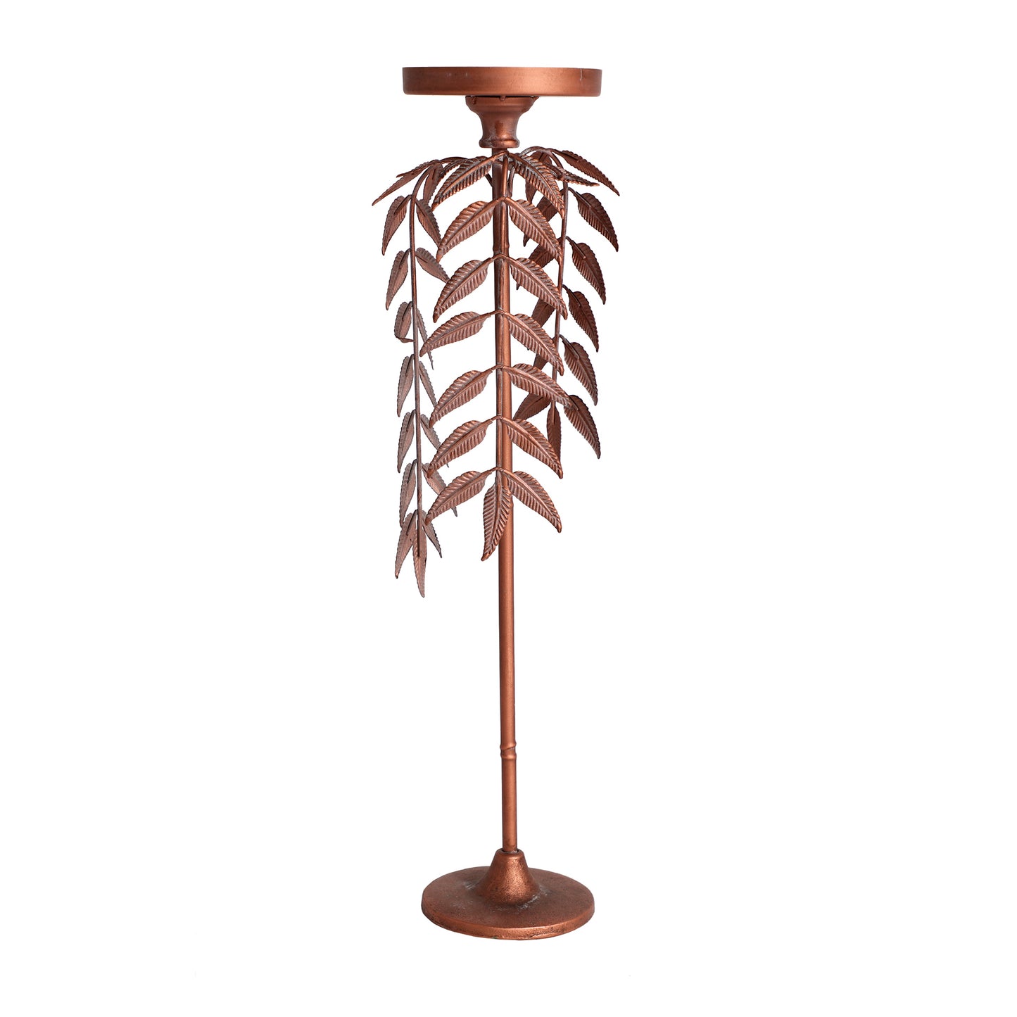 PALMERA LUCERNA CANDELABRA