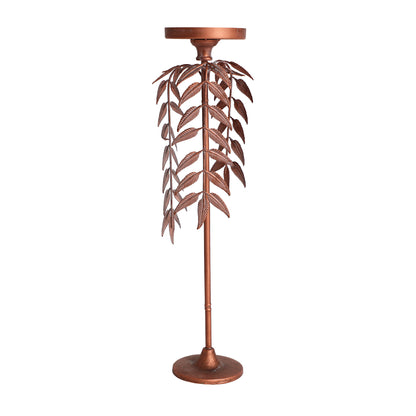 PALMERA LUCERNA CANDELABRA