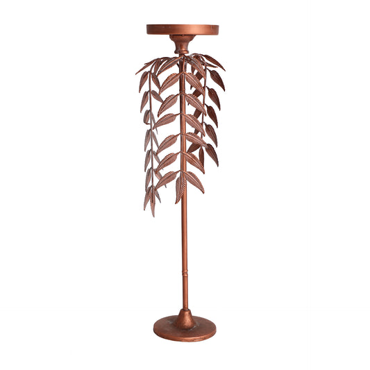 PALMERA LUCERNA CANDELABRA