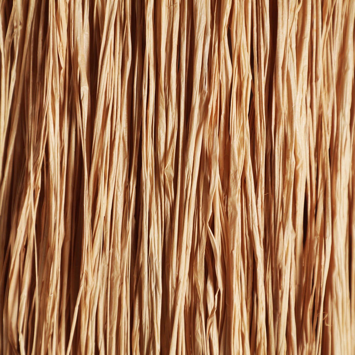 KASSES CEILING LAMP