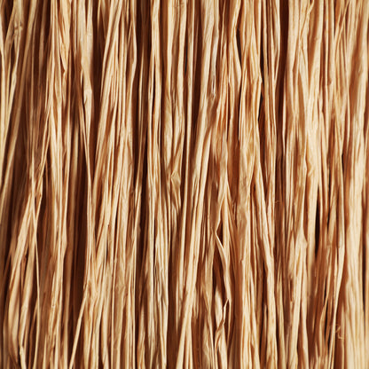 KASSES CEILING LAMP