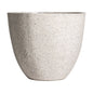 ALBENGA AMPHORA VASE