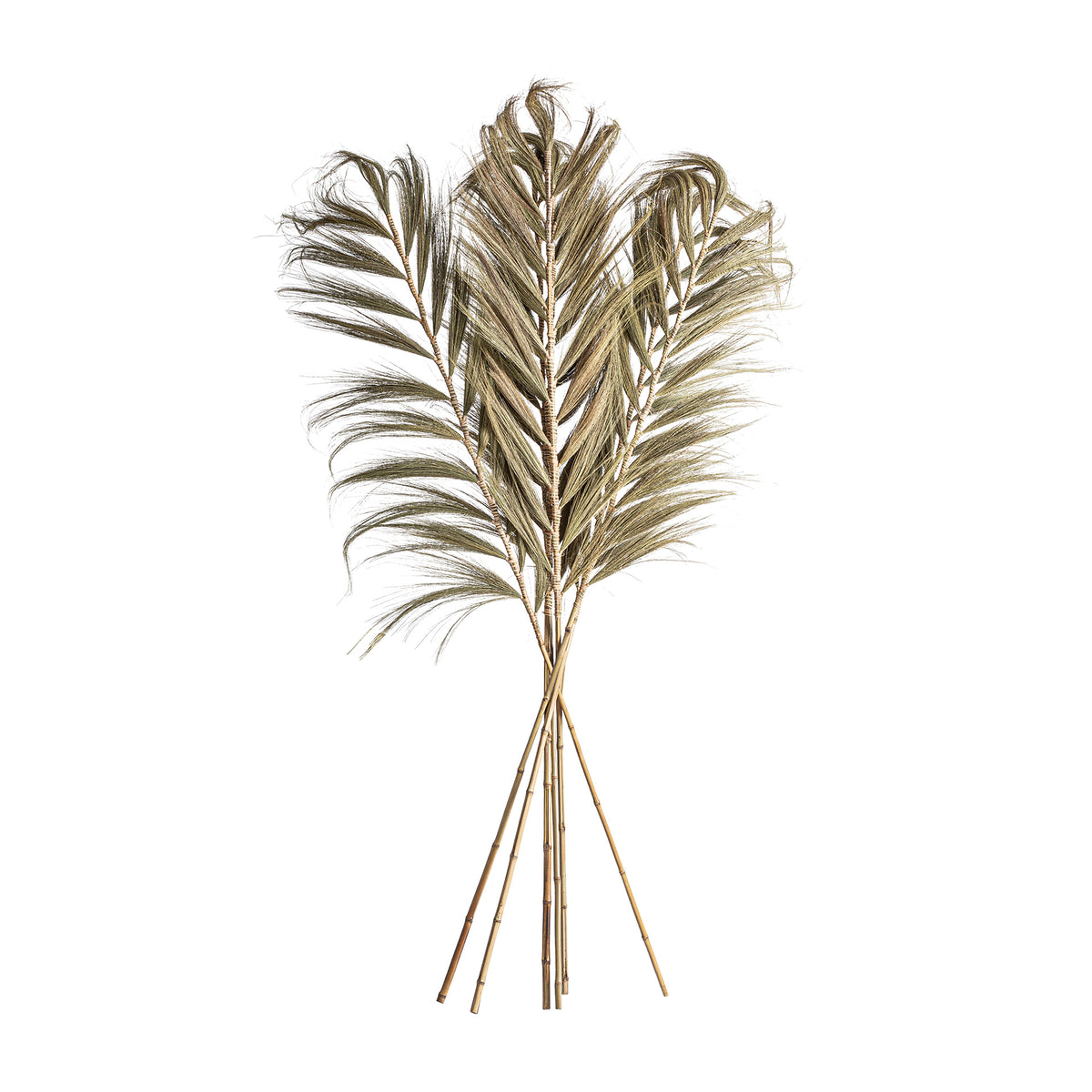 DECARATION BRANCH (SET OF 6)