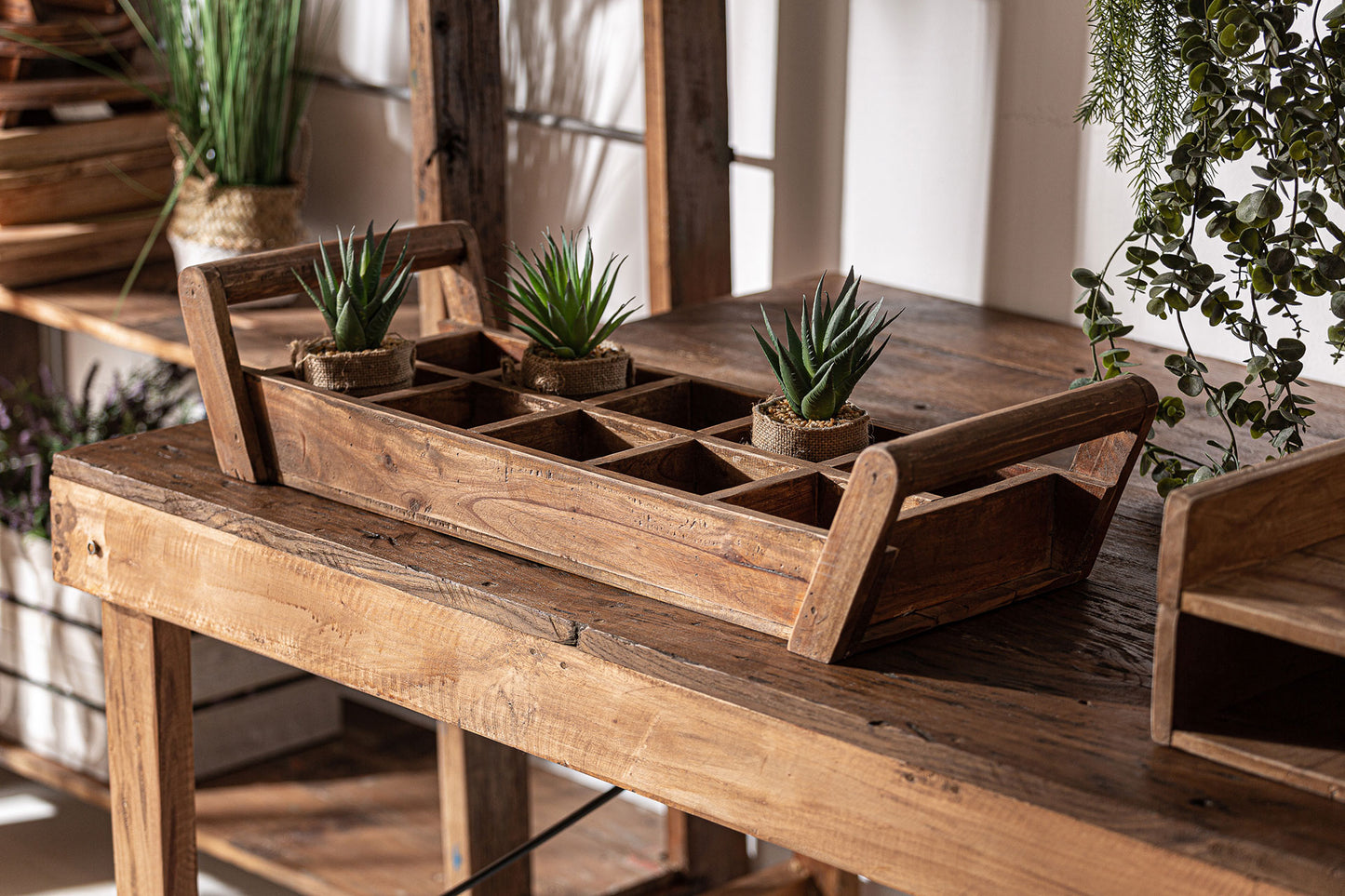 BANDEJA AKVIRAN PLANT POT