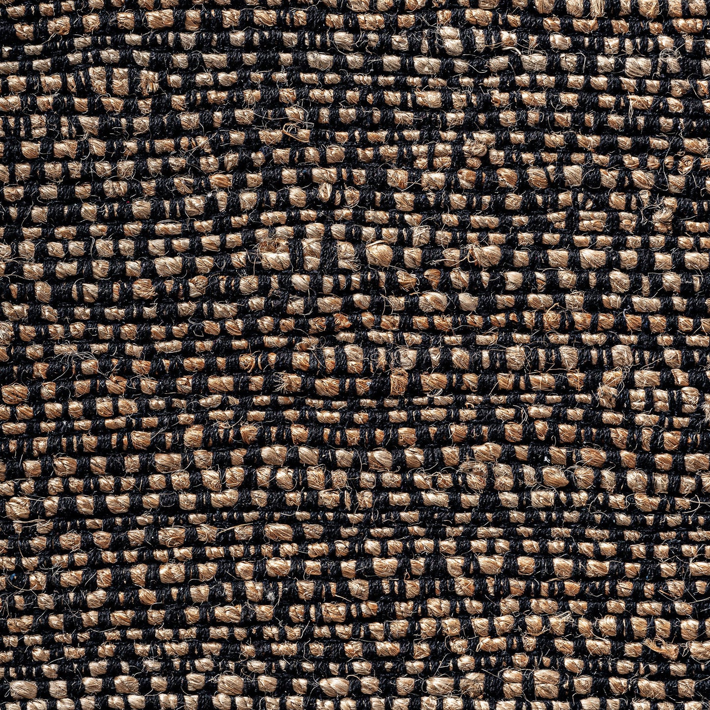 ELARA CARPET