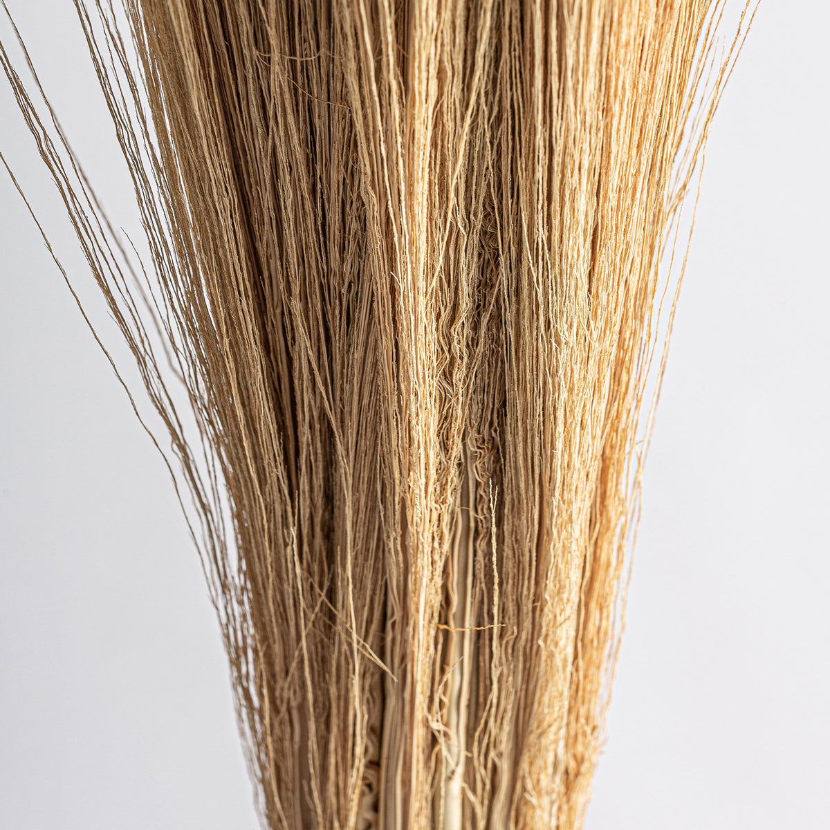 LEASHE BRANCHES