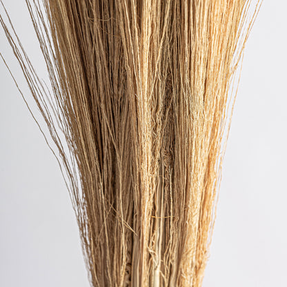 LEASHE BRANCHES