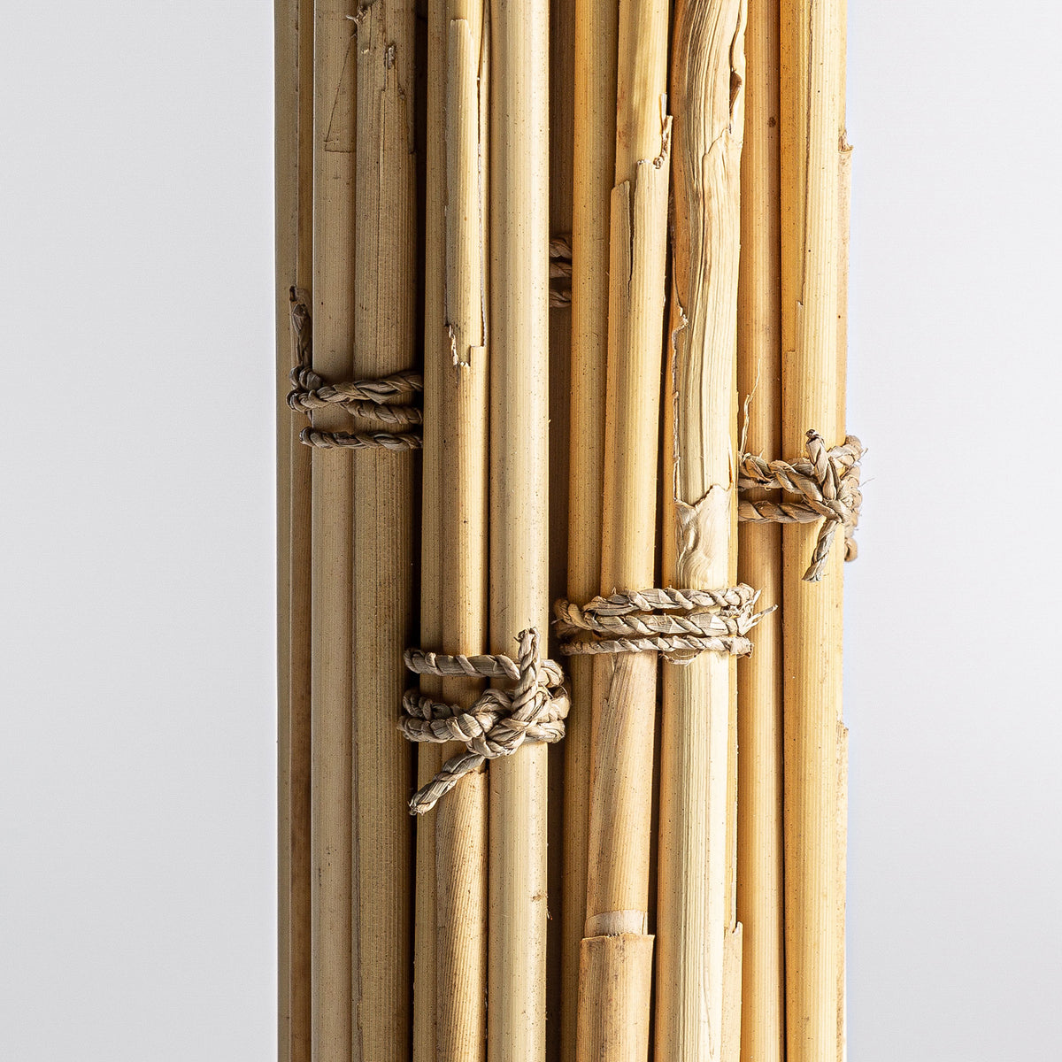 LEASHE BRANCHES