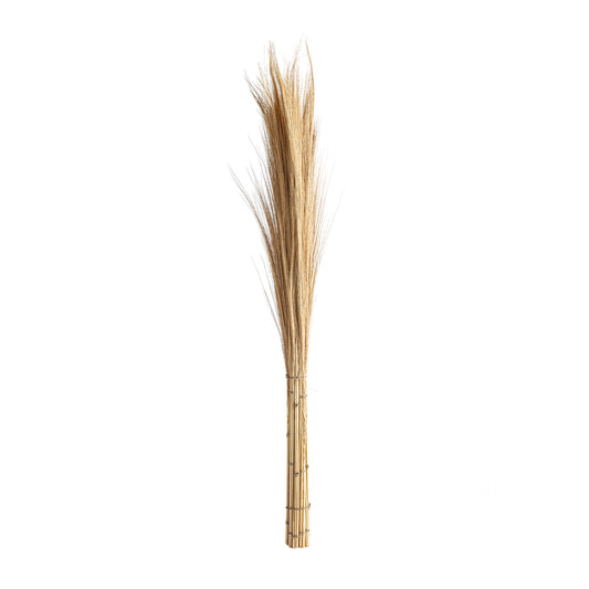 LEASHE BRANCHES