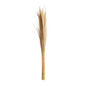 LEASHE BRANCHES