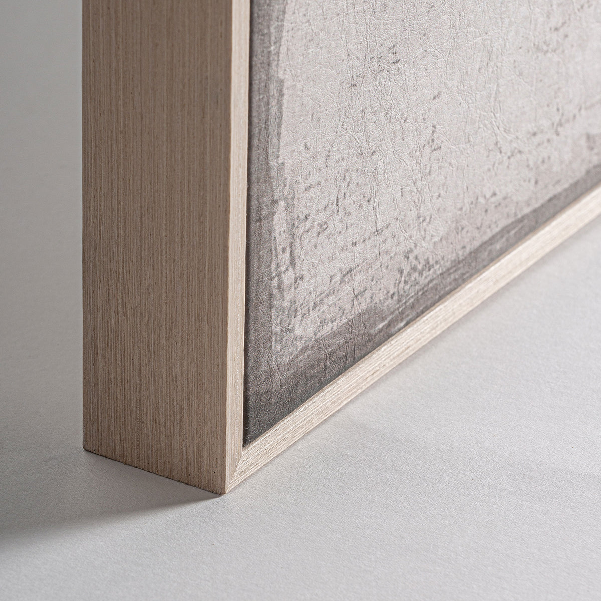 CYRUS CANVAS (2ER-SET)