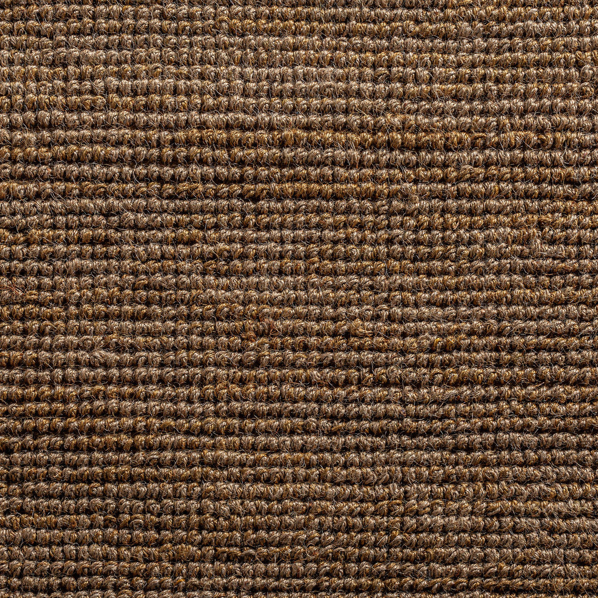 TISH CARPET