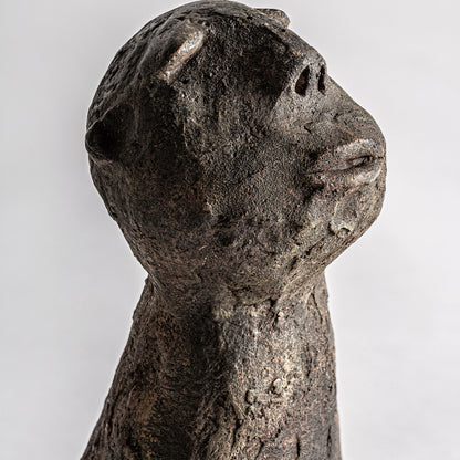 BLASSE BUST