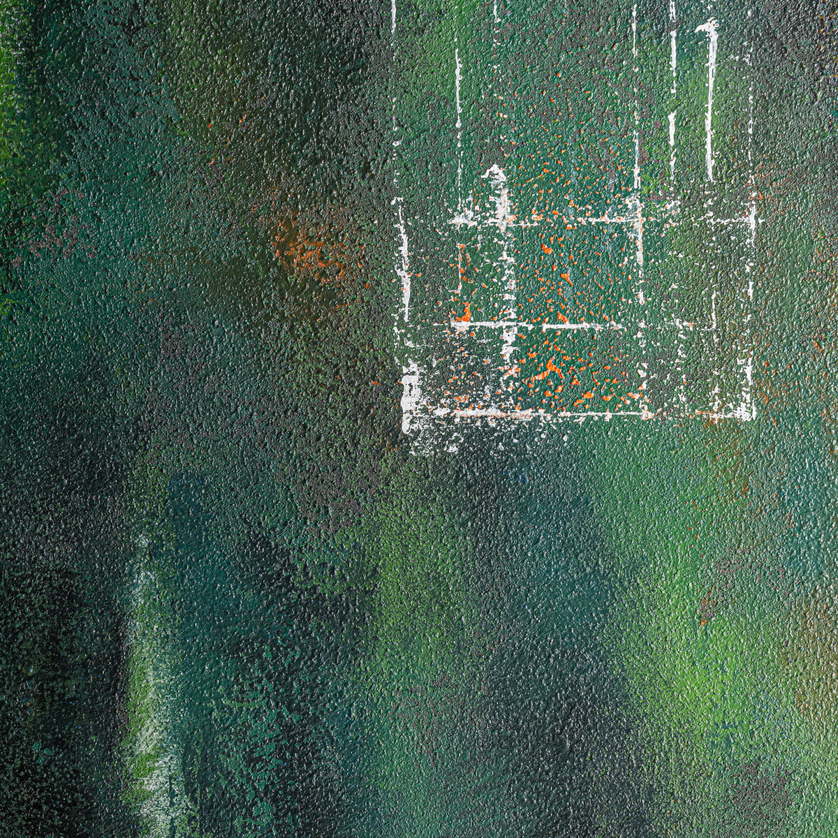 ALERCE CANVAS