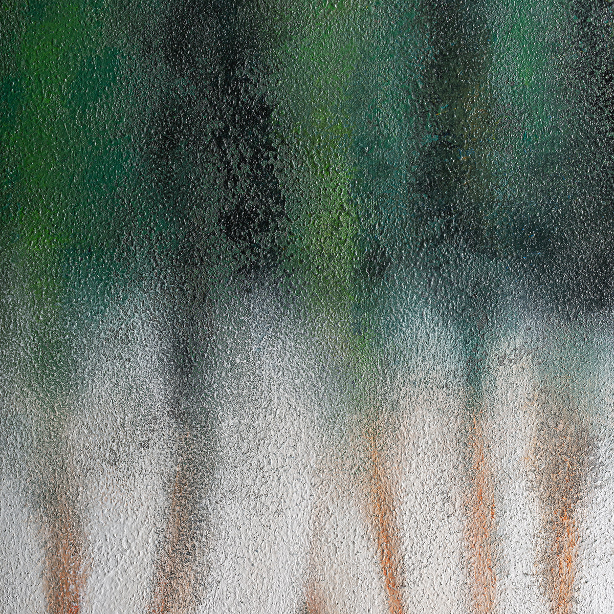 ALERCE CANVAS