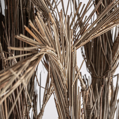 ARECA-PALME