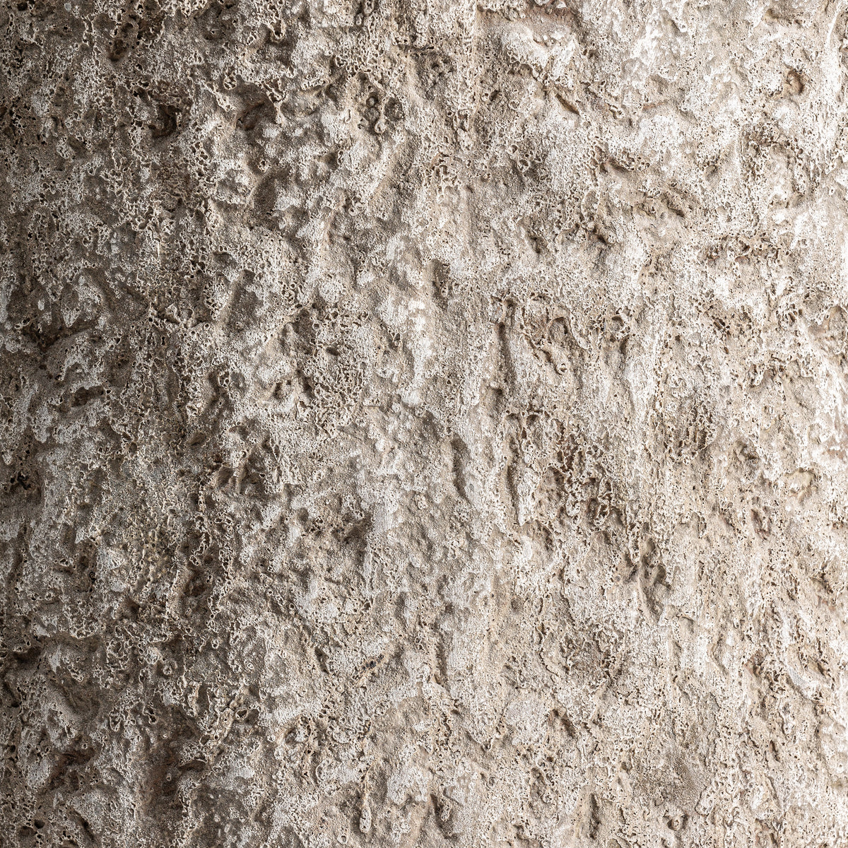 BROD PLANT POT