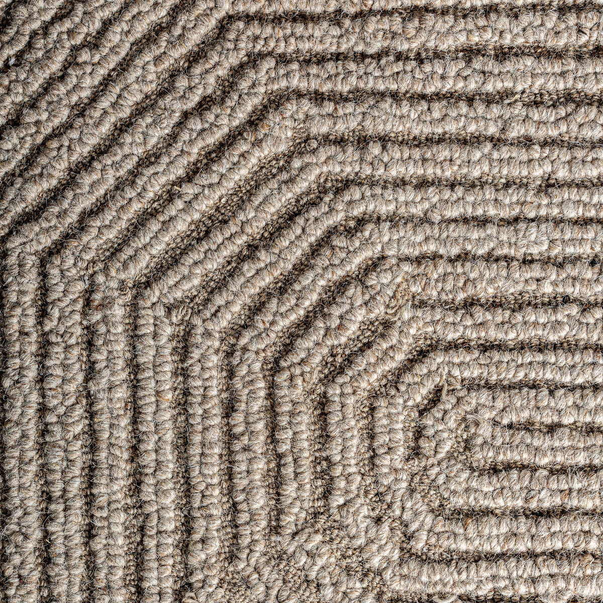 SUZUE CARPET