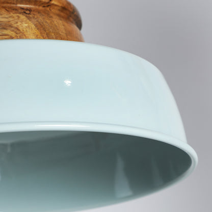 FIZZI CEILING LAMP