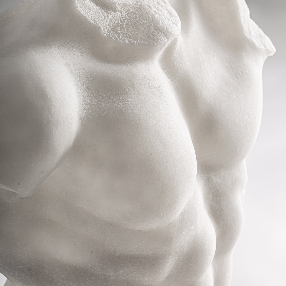 LAYNE BUST